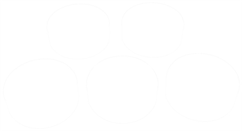 Clevite Chevrolet V8 4.8L-5.3L-6.0L-6.2L-7.0L 2003-2010 Camshaft Bearing Set