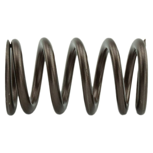 Industrial Injection 110 LBS Single Valve Spring Set